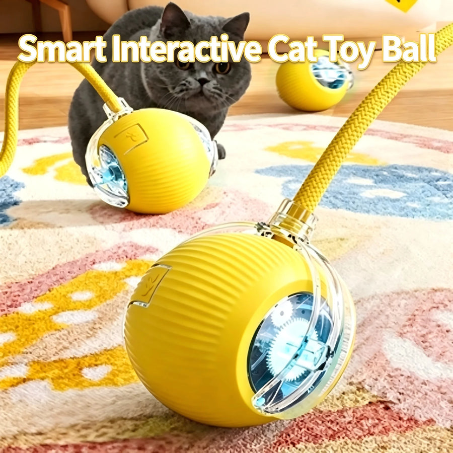 PURRNIMBLE Smart Rolling Ball — Obstacle-Dodging, Speed-Adjustable Cat Chaos